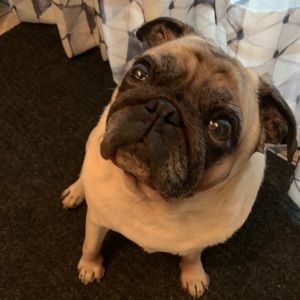 Meet your Posher, Candace